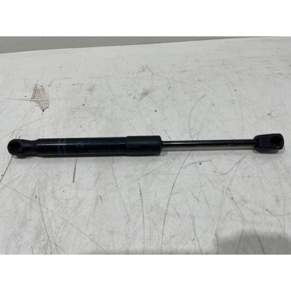 Amortecedor Capo Bmw 320i 2012 Esquerdo 723923306 C10995