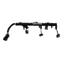 Chicote Flauta Bicos Injetores Gm Captiva 3.6 V6 2010 Cx419