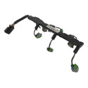 Chicote Flauta Bicos Injetores Gm Captiva 3.6 V6 2010 Cx419