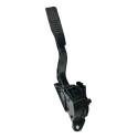 Pedal Acelerador Gm Captiva 2012 Cx549m