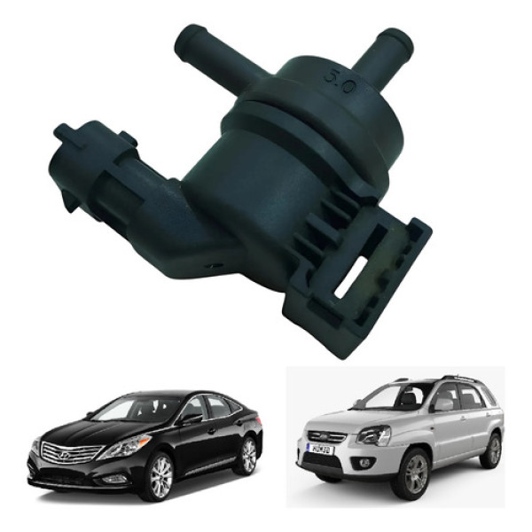 Válvula Canister Kia Sportage 2.0 2.2  Azera 3.0 V6