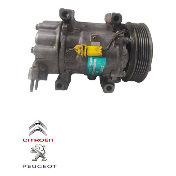 Compressor Ar Condicionado Peugeot 206 207 1.6 964627980