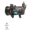 Compressor Ar / Condic. Peugeot 206 207 Clio 1.0 Sd6v12 1432