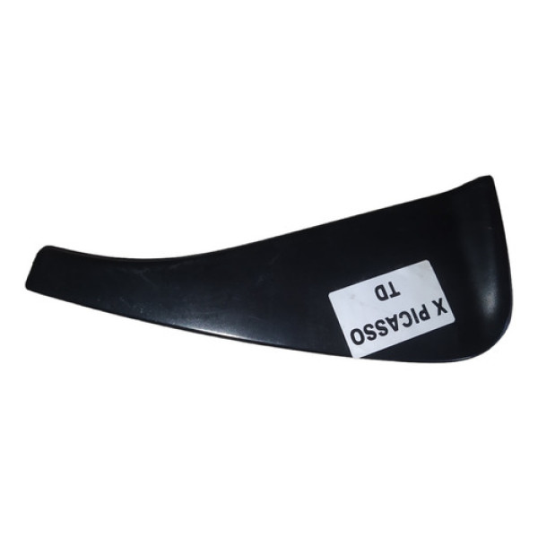 Moldura Ext Porta Traseira  Direita Citroen Xsara Picasso 