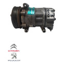 Compressor Ar Condicionado Peugeot 206 1.6 2004 9655191580