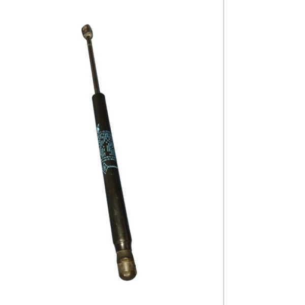 Amortecedor Tampa Traseira Duster  2020 904528324r