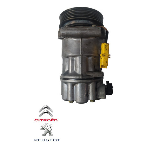 Compressor Ar Condicionado Peugeot 307 207 308 9659875780