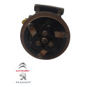 Compressor Ar Condicionado Peugeot 206 1.6 2003 9655191580