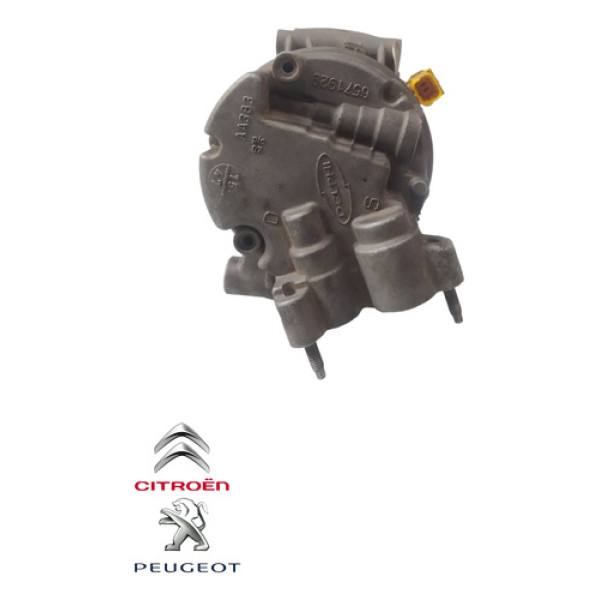Compressor Ar Condicionado Peugeot 207 1.6 Flex 2009