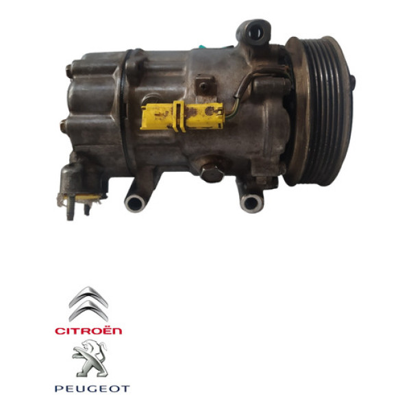 Compressor Ar Condicionado Peugeot 206 1.6  9655191580