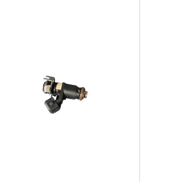 Bico Injetor De Combustível Renault Megane 166009398r