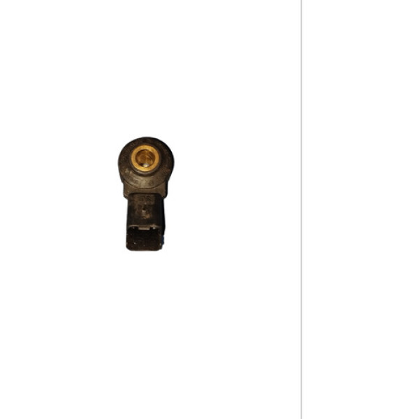 Sensor Detonação Peugeot 206 207 307  0261231168