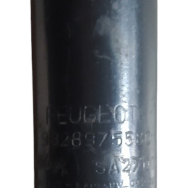 Amortecedor Traseira Peugeot 2008 1.6 2019 9828975580