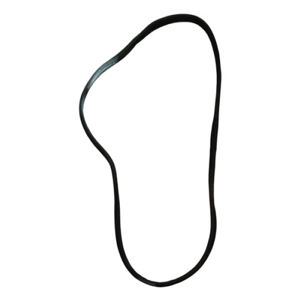 Borracha De Porta Direita Peugeot 206 207 307 9623111380
