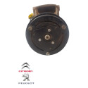 Compressor Ar Condicionado Peugeot 207 1.6 Flex 2009