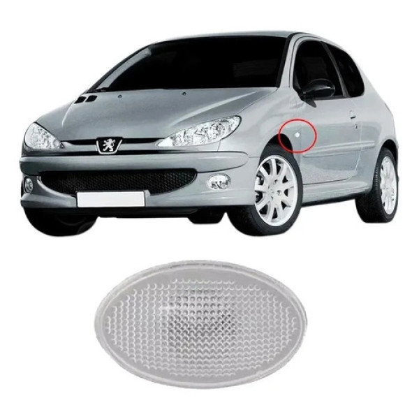 Lanterna Lateral Seta Pisca Paralama Peugeot 206 207 307