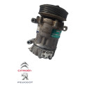 Compressor Ar Condicionado Peugeot 206 1.6 2004 9655191580