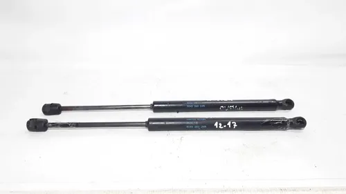 Amortecedor Tampa Traseira Duster 12/17 904528324r 25267