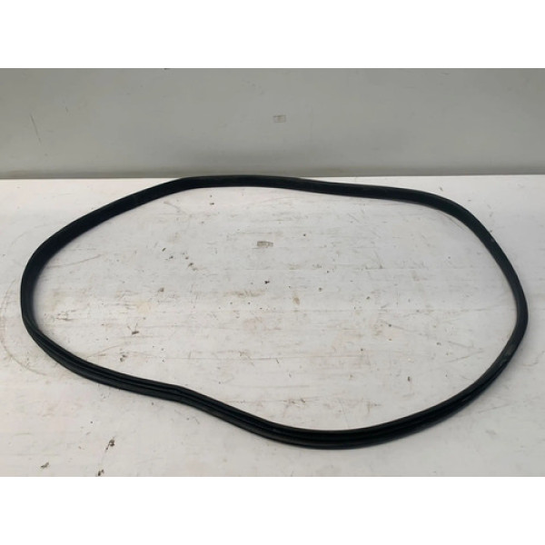 Borracha Porta Traseira Esquerda Renault Logan 2019 2024