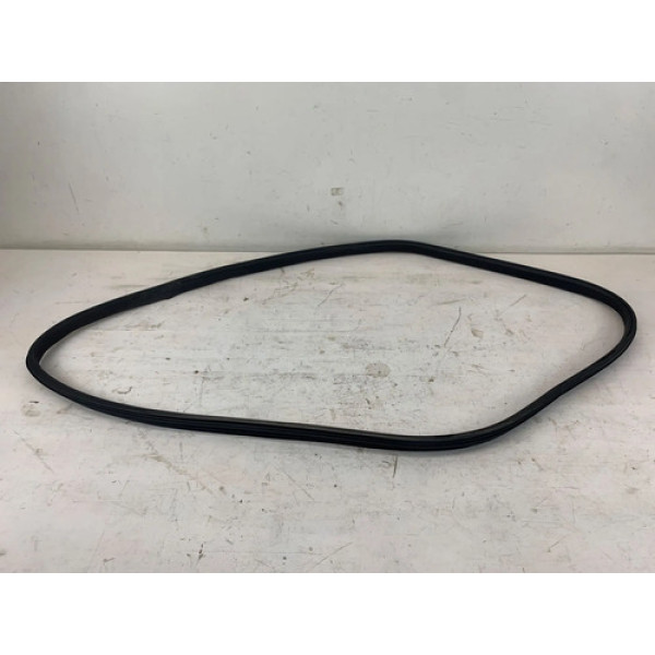Borracha Porta Dianteira Direita Renault Sandero 2014 2019