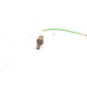 Sonda Lambda Honda Civic 1.7 2001 2006
