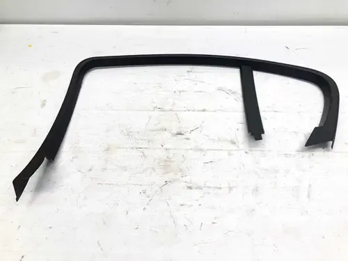 Moldura Porta Traseira Direita Bmw 320i 2007 2011