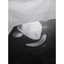 Capo Tiggo 3 Pro 2021 A 2024 Original G