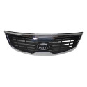Grade Radiador Sportage 2011 2012 13 2014 2015 2016 Original