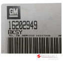 Modulo De Injeção Gm Kadett Monza 1.8 8v 16202949 Bksy