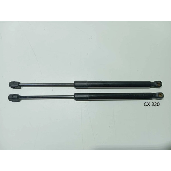 Par Amortecedor Porta Malas Renault Duster 12/15 904520004r