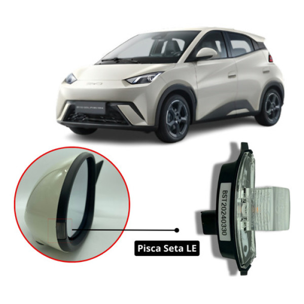 Pisca Seta Retrovisor Byd Dolphin Esquerdo