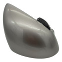 Capa Cobertura Retrovisor Byd Dolphin Dolphin Mini E Plus Ld Rosa Lado Passageiro