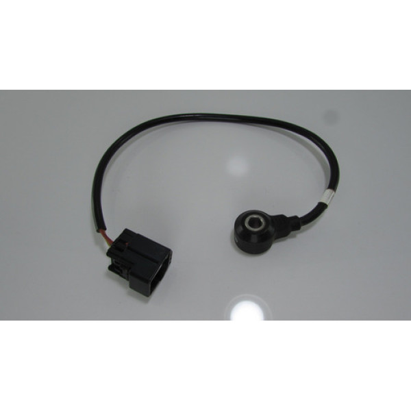 Sensor Detonação Ford Ecosport 2013 Original