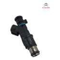 Bico Injetor Gasolina Injecao Citroen Xsara 2.0 2001 2006