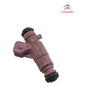 Bico Injetor Combustivel Injecao Citroen C3 1.4 8v 2008 2011