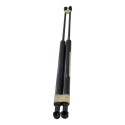 Par Amortecedor Tampa Traseira Porta Peugeot 307 2002 2012