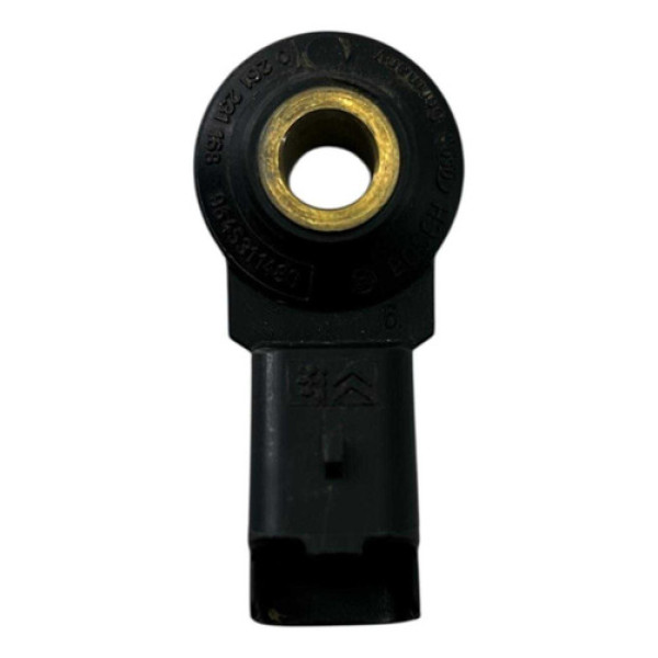 Sensor Detonacao Peugeot 206 207 307 2005 2006