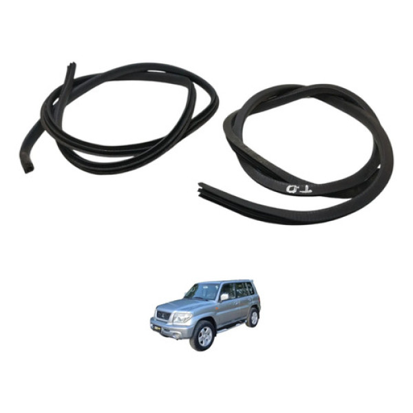 Borracha Porta Traseira Pajero Tr4 2004 2005