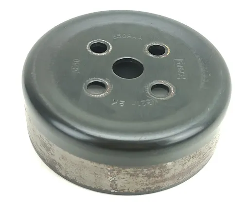 Polia Bomba Água Ford Ecosport 1.6 16v 2014 2015 2016 2017 