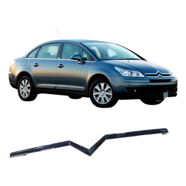 Friso Inferior Dianteiro Citroen C4 2.0 2008 2009 20100620 Preto