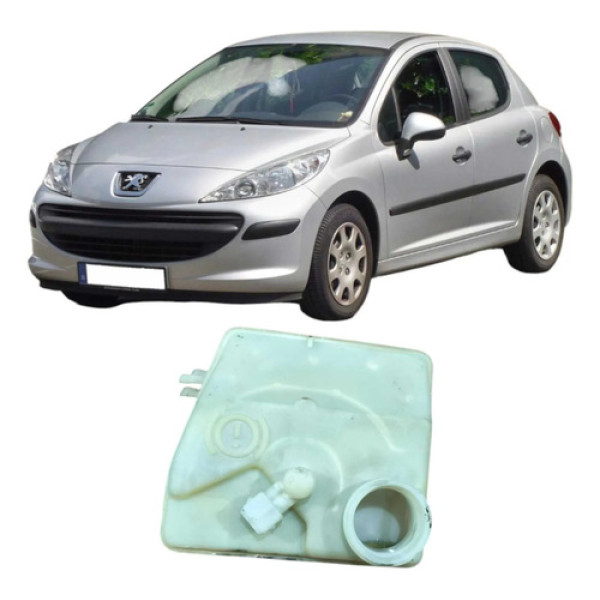 Reservatório Liquido Freio Peugeot 207 2009 1.4 Original