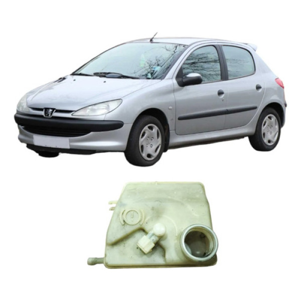 Reservatorio Fluido Freio Peugeot 206 2002 20552080731 Orig