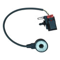 Sensor Detonação Chevrolet Prisma 2012 1.4 Original
