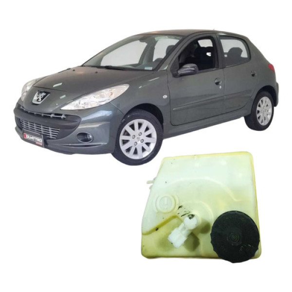 Reservatório Fluido Freio Peugeot 207 2009 1.4 Original