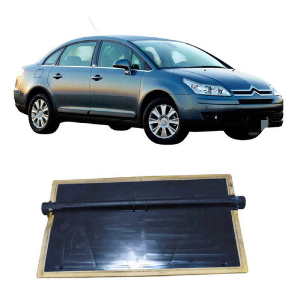 Palheta Caixa Evaporadora Citroën C4 2009 2.0 Original Preto