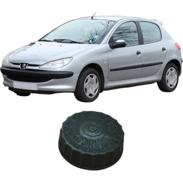 Tampa Fluido Freio Peugeot 206 2002 1.0 20552080731 Original