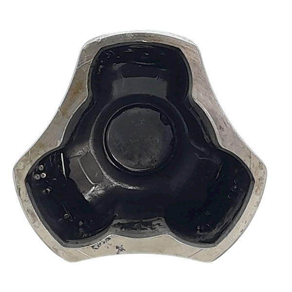 TULIPA ESQUERDA  RENAULT SCENIC 2.0 2001 204801