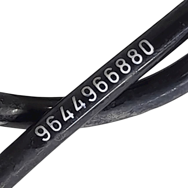SENSOR ABS TRASEIRO ESQUERDO  PEUGEOT 307 2.0 AT 2006 209488