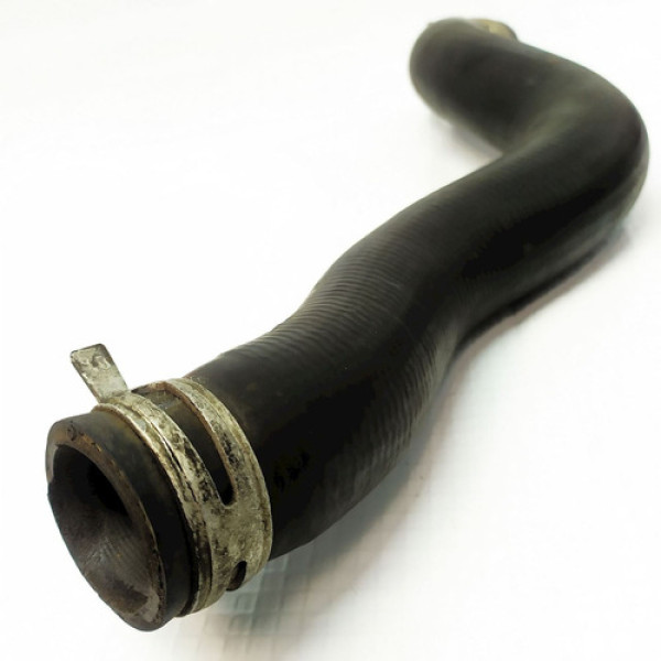 Mangueira Superior Radiador Peugeot 1.0 16v    31673