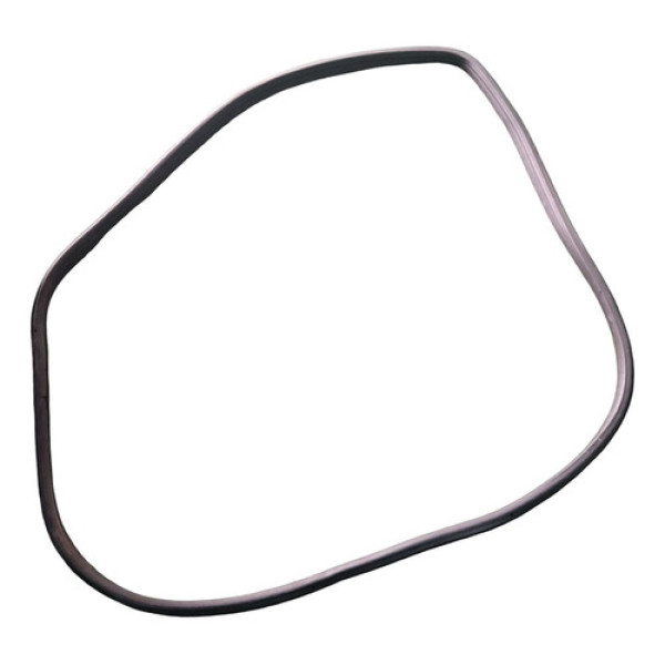 Borracha Porta Traseira Esquerda  Gm Astra Hb 2007 168356